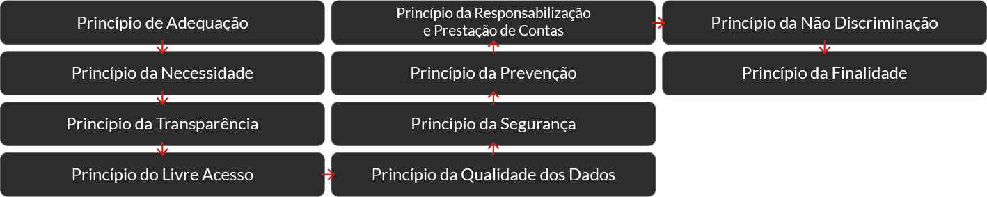 Fluxograma dos princípios e diretrizes da LGPD