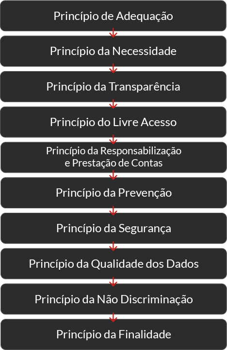 Fluxograma dos princípios e diretrizes da LGPD
